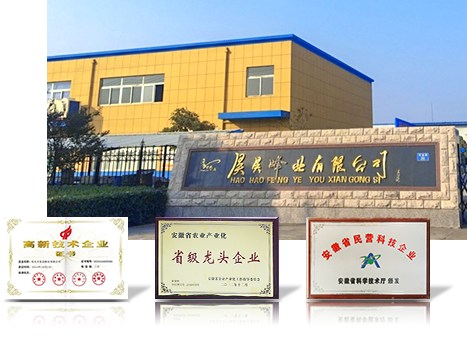 匠心堅守十余年，榮譽滿載行業認證